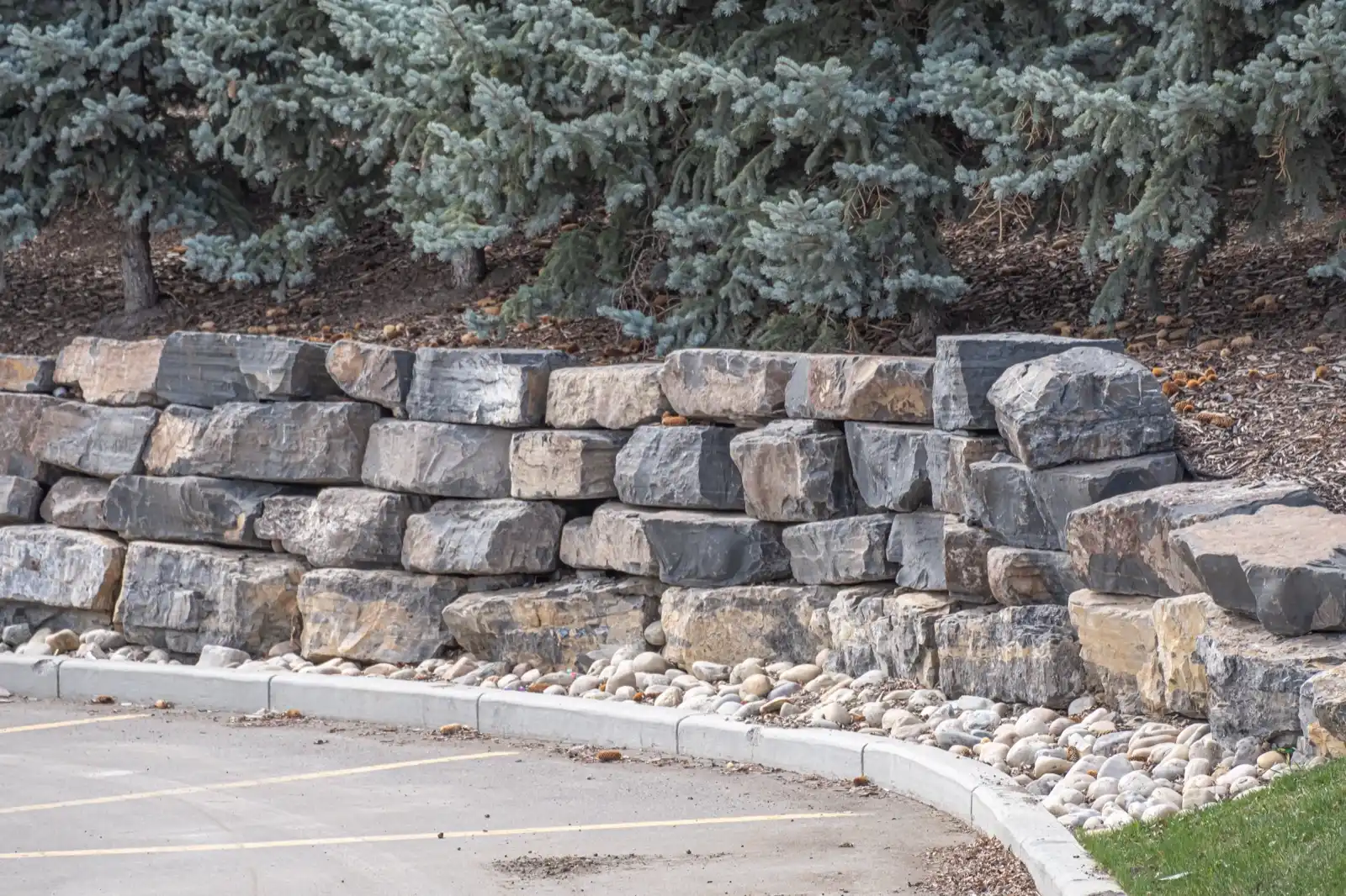 Boulder retaining wall holding a slope of spruce trees beside a parking area