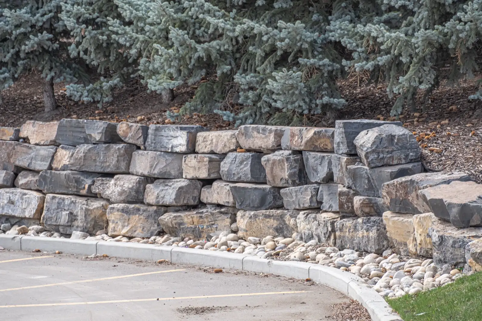 Boulder retaining wall holding a slope of spruce trees beside a parking area