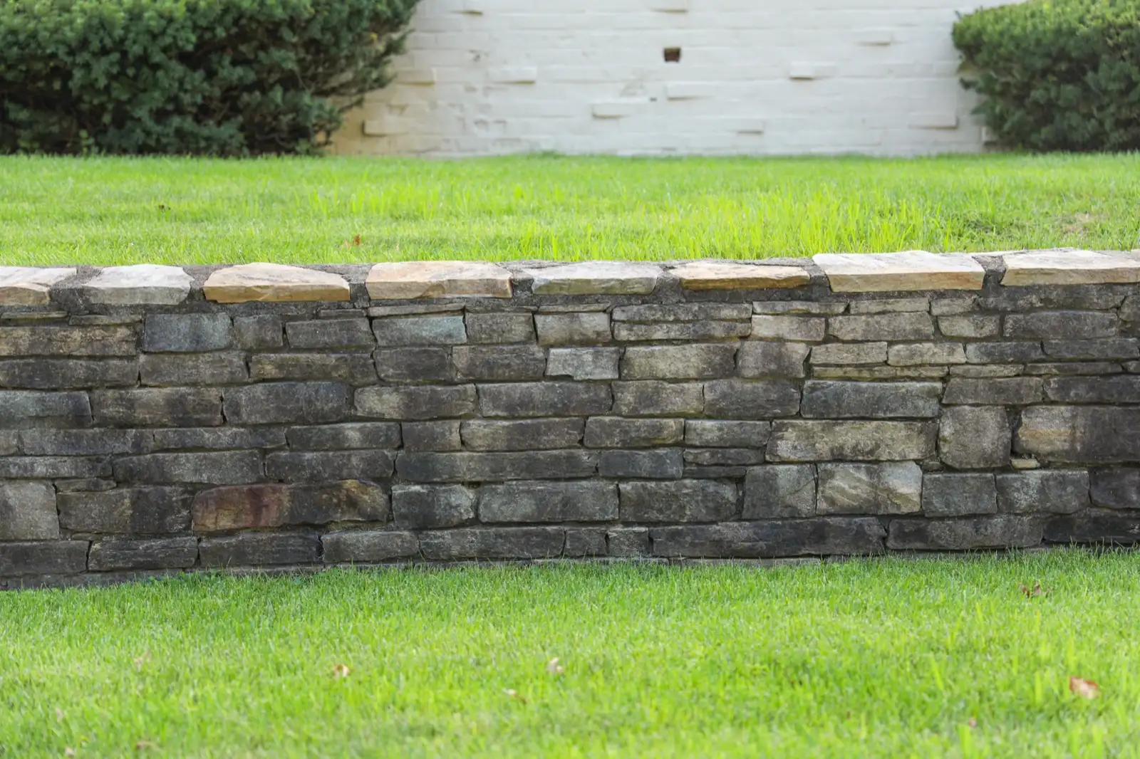 Low stacked stone garden retaining wall with flat capstones between two lawns