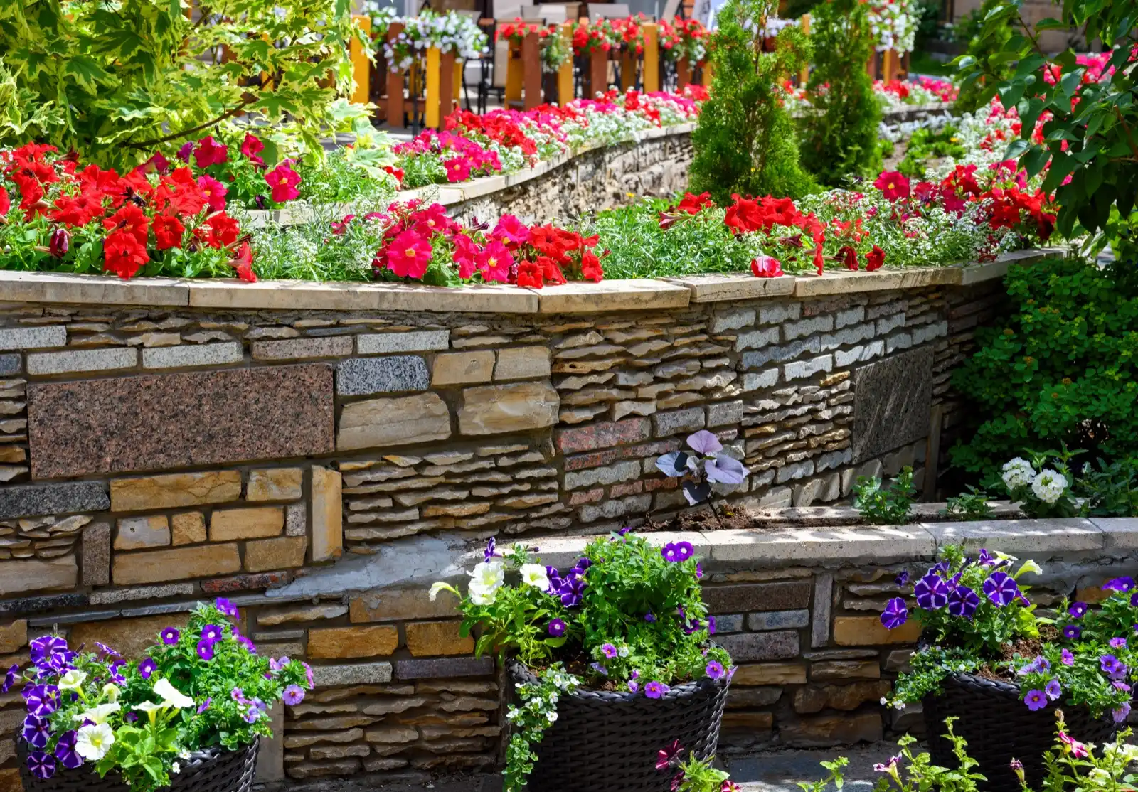 Tiered stone retaining walls with capped planting beds full of flowers